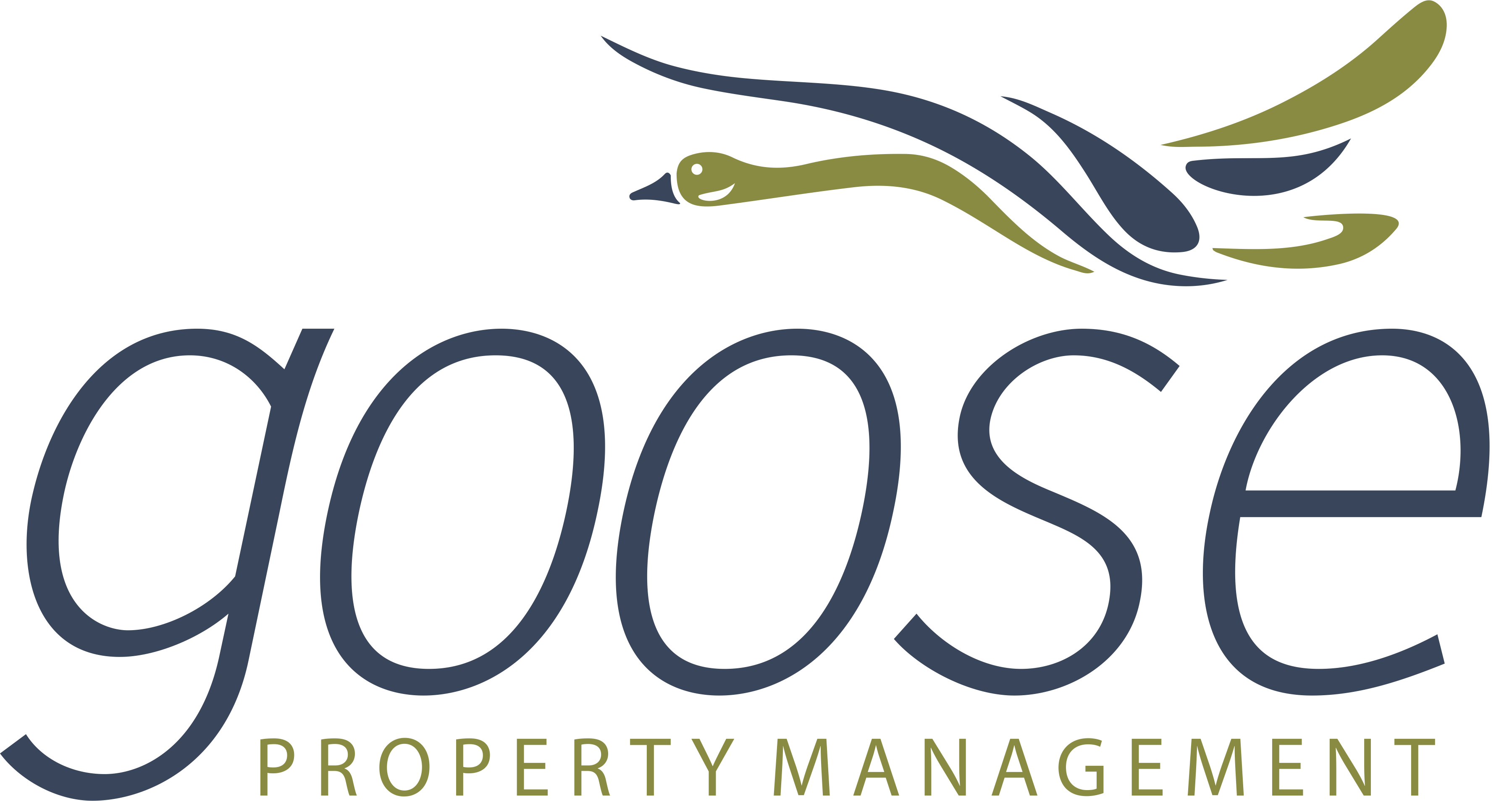 Goose Property Management